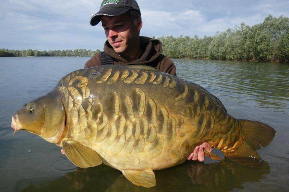 crapi mari - 4838293089052192384151635114915n.jpg